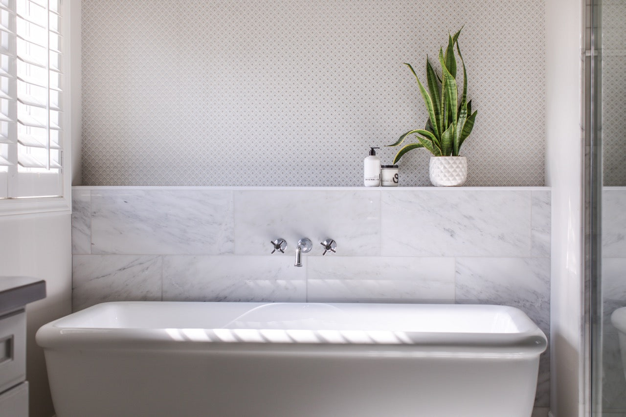 The Everyday for Everybody Duo